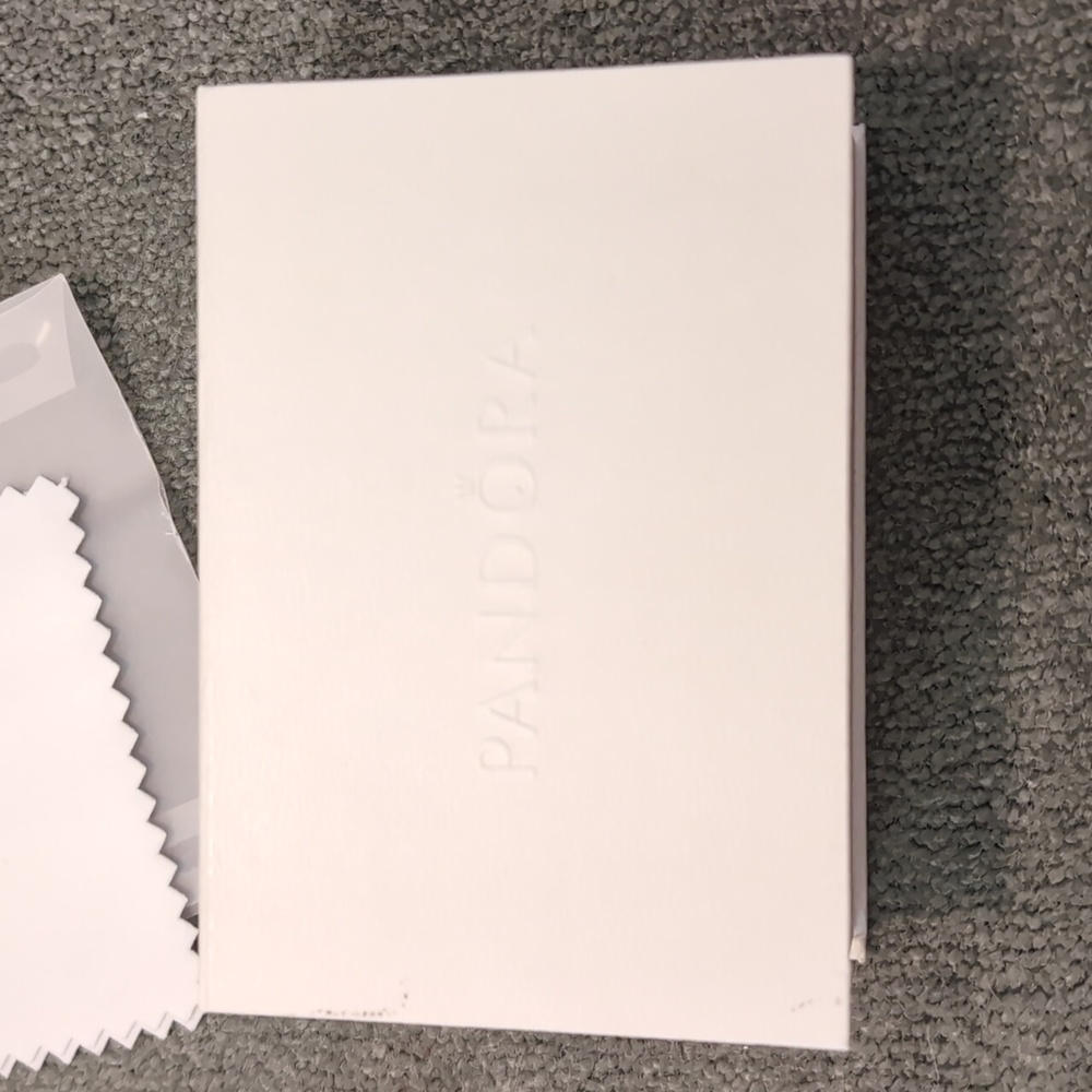 Pandora Cleaning Kit + Polishing Cloth - Picture 10 of 14
